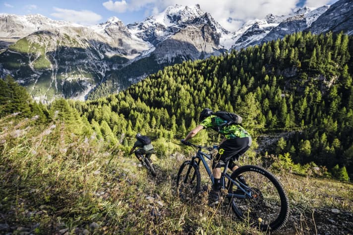   If you want to buy an all-mountain bike, you should be honest with yourself. Do I really need extreme geometry with maximum smoothness, or is it just limiting me?