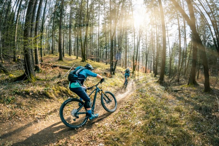 Komfortabel über alle Berge: Wer das vor hat, sollte sich in der Mountainbike-Kategorie der All Mountains umschauen.