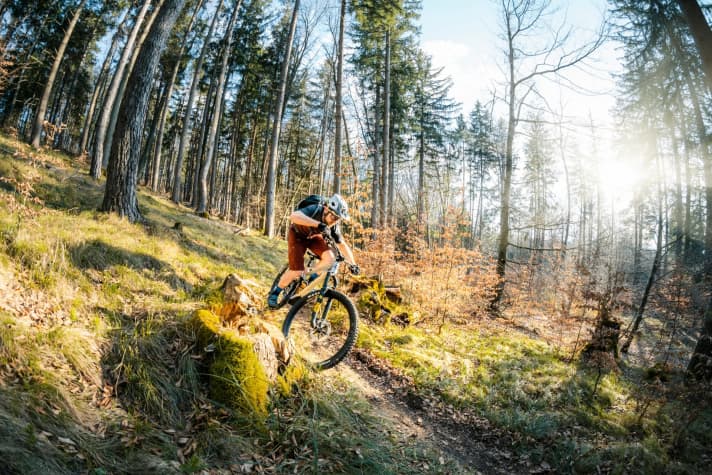   Expensive suspension forks sweeten the riding pleasure with their function. The extra cost of the gears is hardly noticeable when it comes to riding enjoyment.