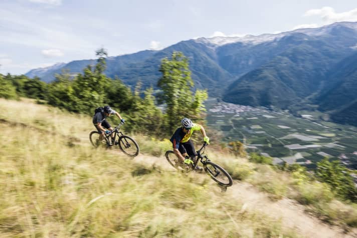   Cannondale, Cube und Scott vermitteln dagegen mehr Sicherheit und lassen auch höhere Geschwindigkeiten zu.