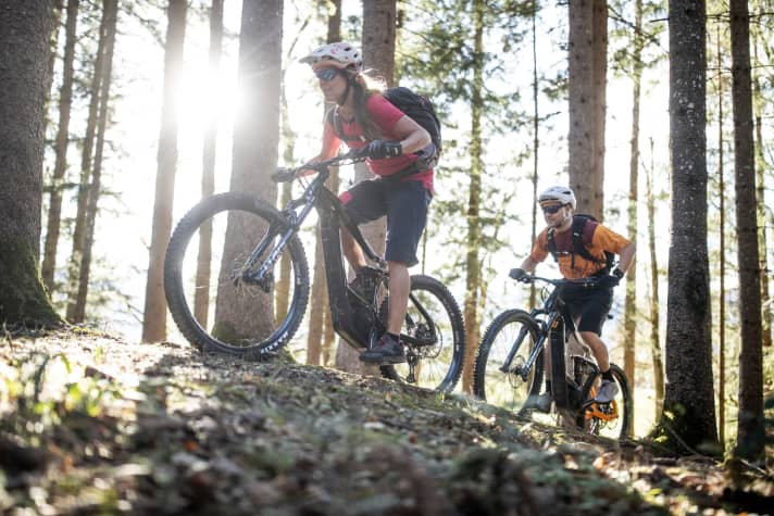 E-Mountainbikes kommen mit jeder Art Gelände klar, vom Schotterweg bis zum Wurzelpfad.