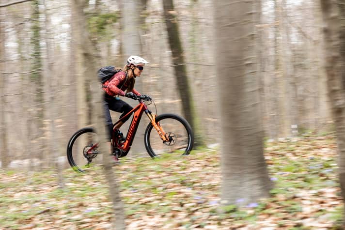   Vor zehn Jahren noch undenkbar: Mittlerweile ist 29 Zoll bei klassischen Mountainbikes und sportlichen E-MTBs die Regel.