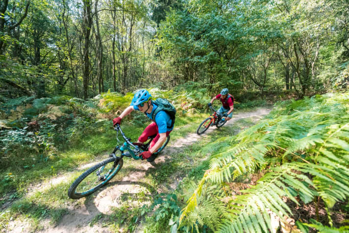   Der Toskana ähnlich: Das Biosphärenreservat Bliesgau bei Neunkirchen reizt mit hohem Naturerlebnisfaktor.