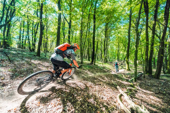   Black Forest, Würzburg, Hamburg - these super tours are even signposted for bikers