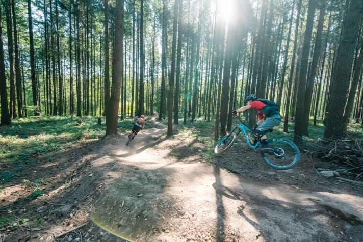   Mit Talent und Spucke: Die Trails am Füsselberg bei Freisen wurden nach modernsten Maßstäben modelliert – und fühlen sich ziemlich nach schottischem Trailcenter an.