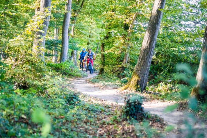   Supertrails nach tschechischem Vorbild: In Perl versüßen Anlieger, Kurven und kleine Drops die Trail-Touren im Waldmeer – Tour 5