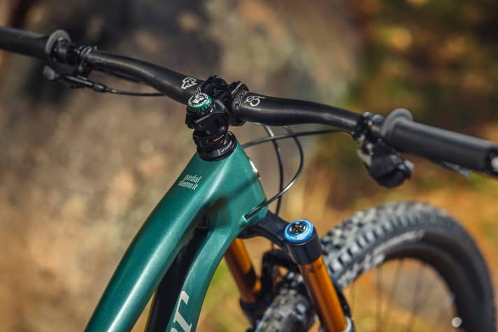   Darf bei einem Niner-Bike natürlich nicht fehlen: die Ahead-Kappe mit Kronkorken.