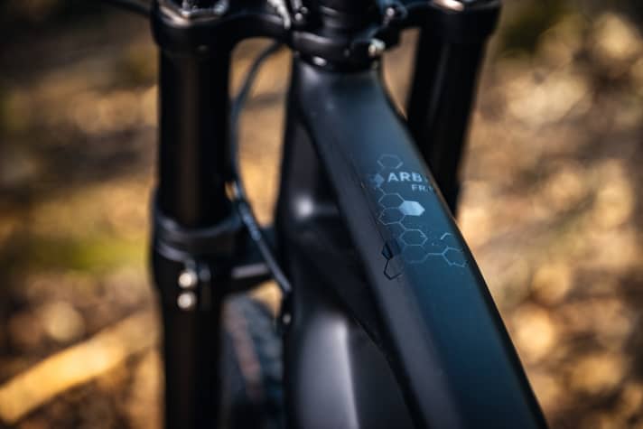   Chic in black: full carbon frame