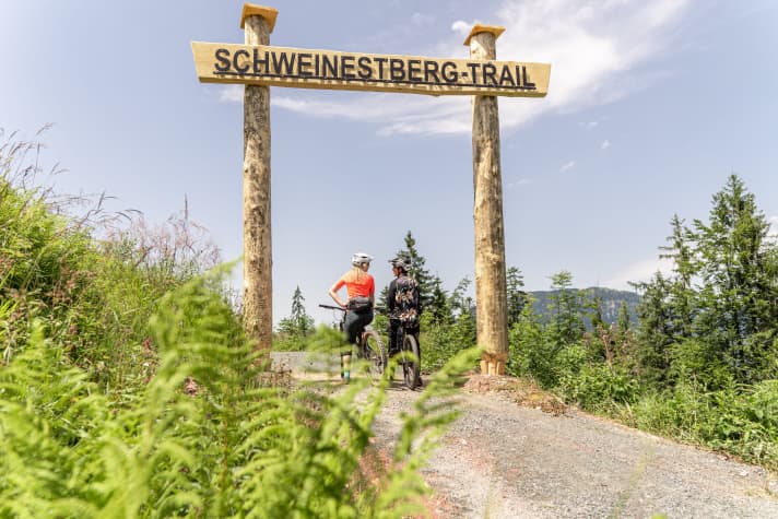   Not to be missed at the middle station of the Fieberbrunn Streuböden lift: the start of the new Schweinestberg Trail.