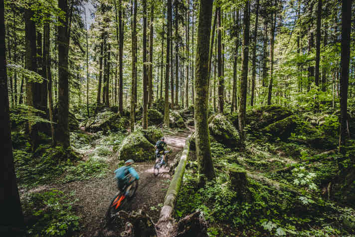 The fairytale forest sets an exclamation mark right at the start of the tour! The route through the moss-covered rocks is beautiful.