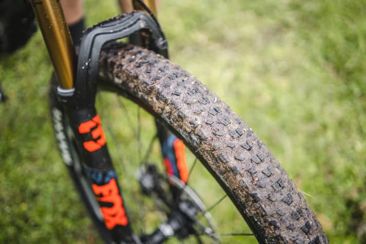   Narrow Maxxis Ardent Race, slim Fox 34: By E-MTB standards, the components on the iLynx Race are small. However, the bike shows its strengths on flat, fast trails.