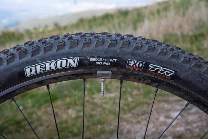   Der recht zahme Maxxis-Rekon-Reifen und die schmalen Felgen am <a href="https://www.focus-bikes.com/de_de/bikes/mountainbike-fully/thron" target="_blank" rel="noopener noreferrer nofollow">Focus Thron</a>  6.9 passen nicht ganz ins abfahrtslastige Bild.