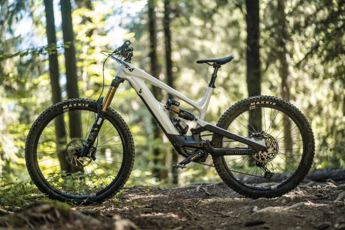 Yt decoy 2025 vs specialized levo