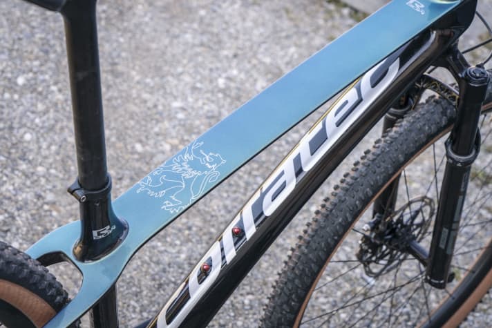   Das breite Oberrohr erinnert an eine Tragfläche. Selbst, wenn die Stütze tief im Sitzrohr steckt, flext der Sitzdom extrem.