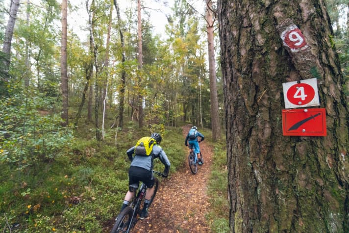   Eine Tour abseits der bekannten Trans-Bayerwald-Routen: Auf dem sogenannten Pandurensteig, auf dem ein schwarzer Säbel den Weg weist und der nur Einheimischen ein Begriff ist, weil er die höchsten Gipfel samt Nationalpark bewusst ignoriert.