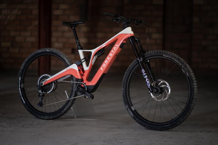   Fun machine: Forestal Siryon