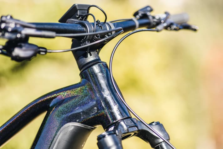 Sauber und aufgeräumt: Die integrierte Führung von Kabel und Leitungen durch den Steuersatz hat bei Cube den Weg von den Highend-Modellen zum Hardtail gefunden. | n.