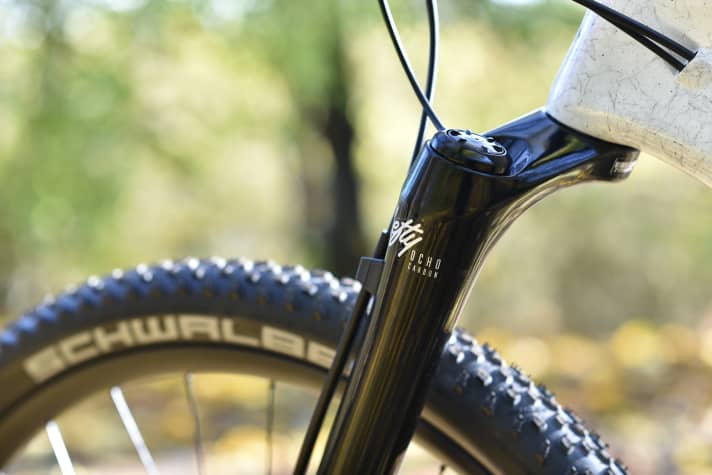   Reserved for the top model: The Lefty Ocho fork with 110 millimetres of travel.