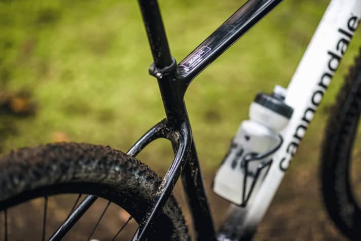   Flat seat stays that sit low on the seat tube make the rear triangle very comfortable to ride.