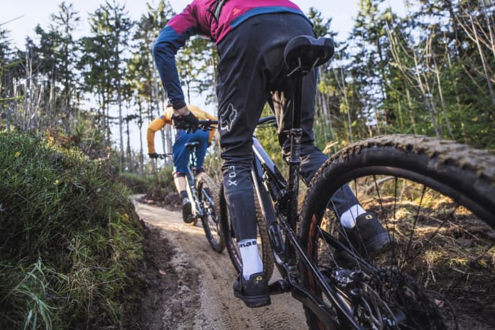   System comparison: Classic e-MTB, minimal-assist or organic bike: Which enduro genre promises the greatest pleasure?
