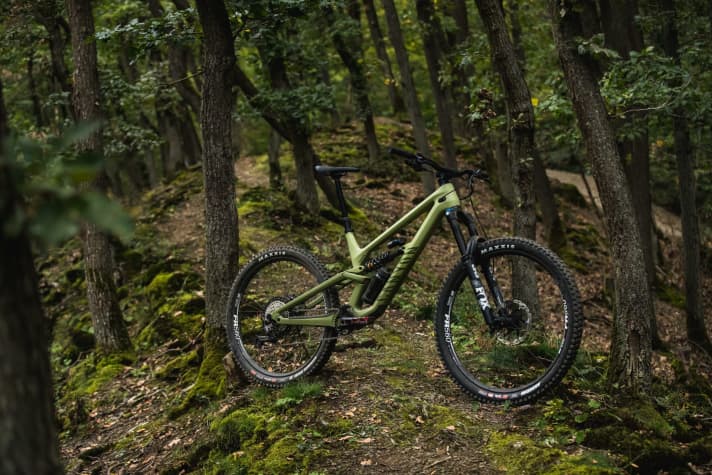   The new Torque has the right version for everyone. 27.5, 29-inch or mullet construction like here on the CF 8 with steel spring shock absorber.