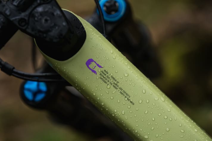   Vokuhila: Die Modelle CF8 und Fabio Wibmer stehen als Mullet im Canyon-Webshop, alle anderen Bikes kommen wahlweise in 27,5 oder 29 Zoll.