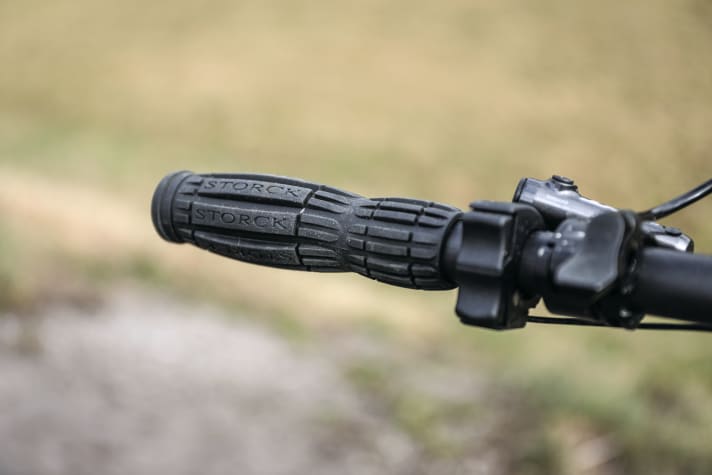   Storck e.drenalin.2 GTS: The super-light carbon wheels give the e.drenalin.2 lively handling. A good investment.