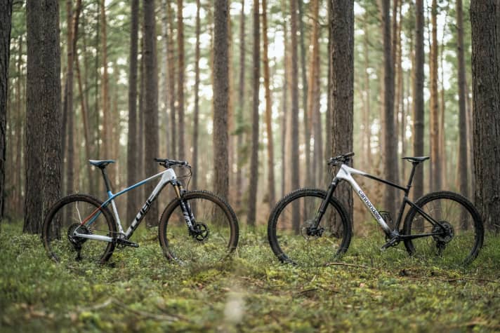   Hardtail duel: Cube Elite C:68X Sl (left, 8.7 kg / 100 mm / 29" / 5099 Euro) against Cannondale Scalpel HT Carbon (9.6 kg / 110 mm / 29" / 6999 Euro)