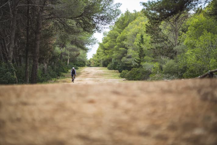   Gravel, forest paths or tame trails: this is where the new gravel bike from Hamburg feels most at home.