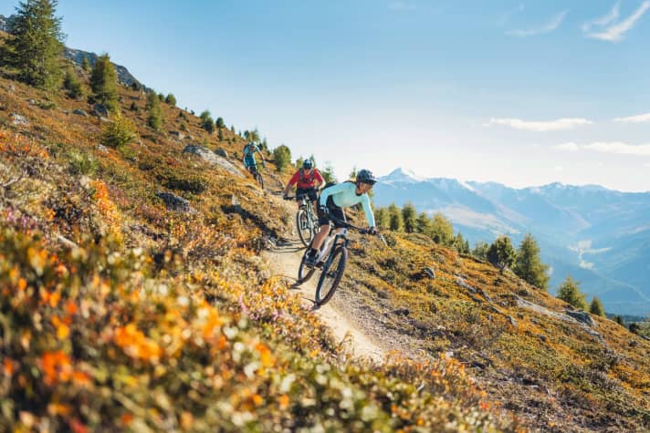   Verspielt runter, oder doch flott bergauf? Trailbikes um 4500 Euro beherrschen beide Disziplinen auf hohem Niveau.