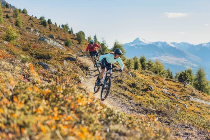 In the price range of around 4500 euros, you'll find all the big names. If you're looking for a fast trail bike, you'll find it here. Seven models in the test. Page 14