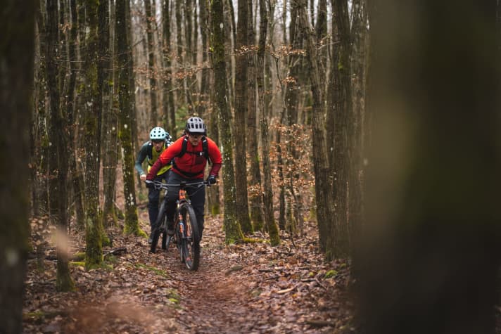 Moosbewachsene Felsen, Nadelbäume und Laubwälder – auf dem Weg durch den Pfälzer Wald wechselt ständig die Vegetation – nur das Wetter bleibt gleich schlecht.