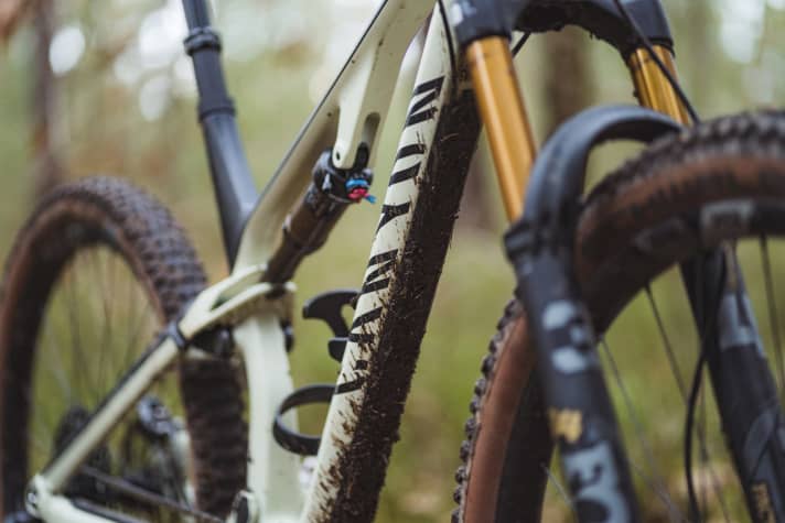   Canyon Neuron CF9 SL: All cables and hoses are neatly routed under the down tube protector.  This makes maintenance easier.