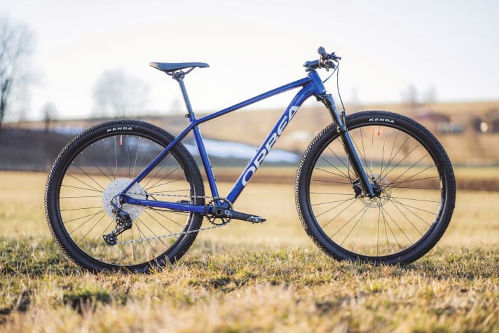   Orbea Onna 10 – 13,8 kg / 107 mm / 29" / 1099 Euro