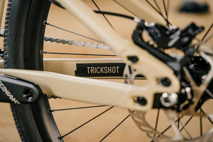   Black bolts hold the sliding dropout, which can be used to adjust the rear wheel as required and thus tension the chain.