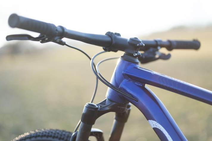   No frills. The flat handlebars and only the most essential cables ensure a clean cockpit.