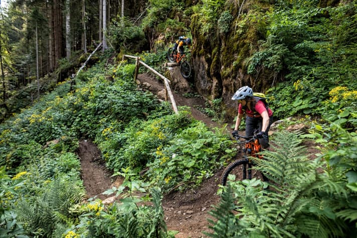   Forsthof Trail in the Leogang Bike Park