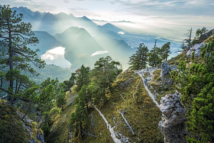   In König Ludwigs Garten (Neuschwanstein) mit Blick auf die Allgäuer Alpen