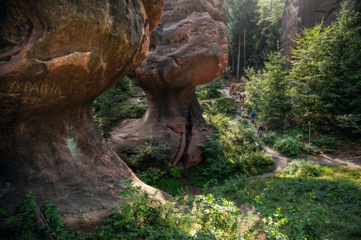   In the German border triangle: Moab rocks in the Ore Mountains