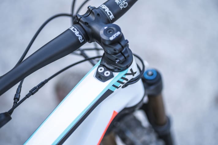   Canyon Lux CF9 Emily Batty: The steering stop limiter protects the top tube from being hit by the fittings in the event of a fall.