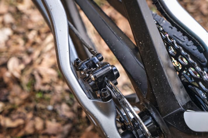   To maximise heel clearance, the left seat stay is very bulbous and still leaves room for all standard brake callipers. The brake calliper connects the chain stay and seat stay.