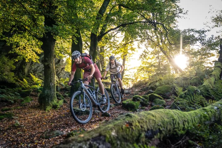   Shortly before the St. Vith checkpoint, the Stoneman Arduenna also takes in the trail park there. Further north, the Wolfsbusch is the place to be.