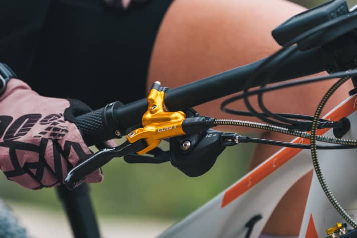   The Formula Cura X should be suitable for everything, not just enduro and downhill.