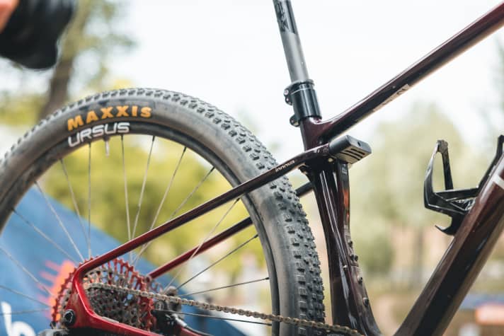   Eine Art Blattfeder sorgt am Rampage Innova für die Auslenkung, der Flex kommt aus den Kettenstreben.