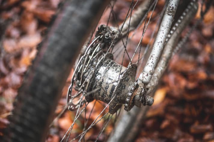 Das Herzstück des Idworx Rapid Rohler: In Sachen Laufleistung sind der abgekapselten Getriebe-Nabe keine Grenzen gesetzt. 