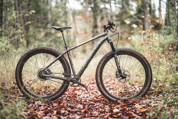Sorglos-Bike-Test: Idworx Rapid Rohler | 12,6 kg / 102 mm / 29" / 7348 Euro 