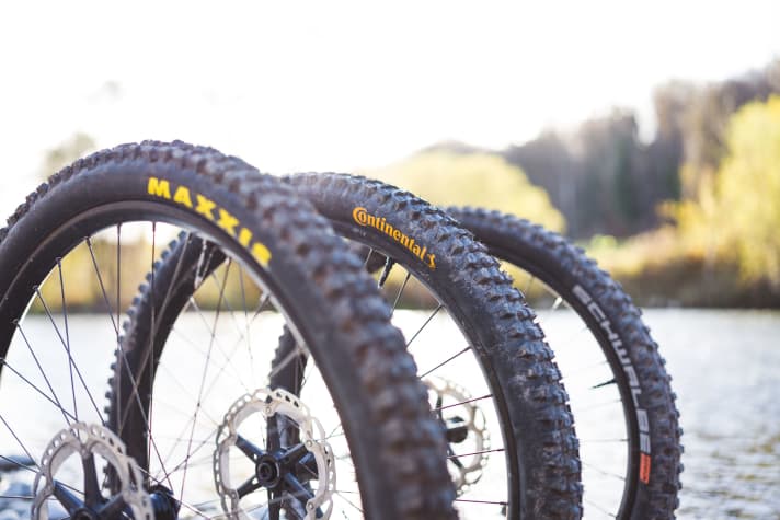 Schwalbe, Maxxis, Continental: Die drei Reifenriesen vereinen laut unserer Leserumfrage 90 Prozent des Kaufinteresses. Alle anderen Brands landen im niedrigen einstelligen Prozentbereich.