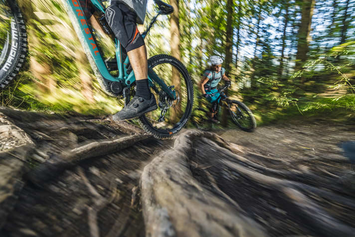 Wurzelstufen können kommen! Der Forestal-Motor schiebt kräftig und mit viel Nachlauf über Hindernisse. Powerbike-Feeling.