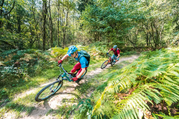 Der Toskana ähnlich: Das Biosphärenreservat Bliesgau bei Neunkirchen reizt mit hohem Naturerlebnisfaktor.