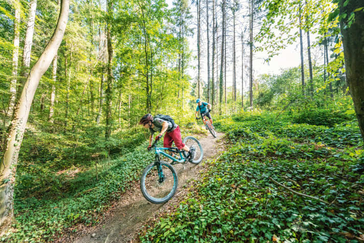 Die Mountainbike-Trails im Meeswald wurden den tschechischen Trailcentern nachempfunden, die zu den besten der Welt zählen.